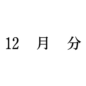 シャチハタ 科目印 【12月分】 品番：X-NK-549