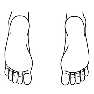 シャチハタ 医療用人体図 足の裏