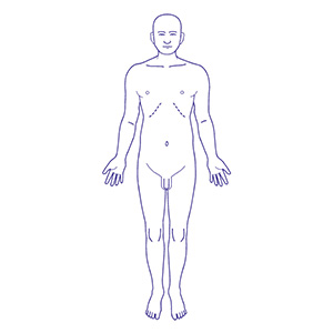 シャチハタ 医療用人体図 全身（男性正面）