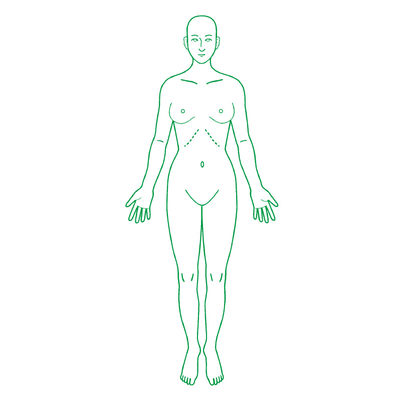 医療用人体図 全身 女性正面 最短即日のシャチハタ館