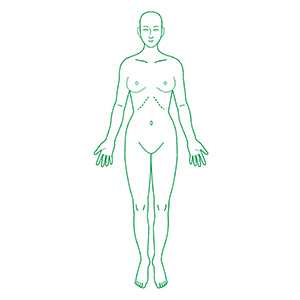 シャチハタ 医療用人体図 全身（女性正面） 