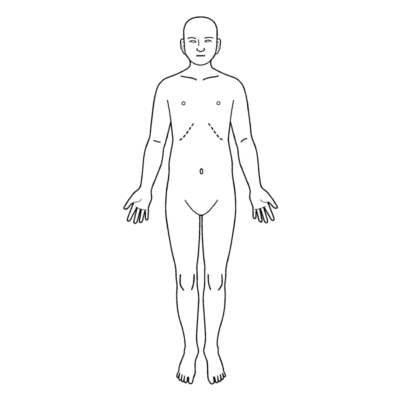 医療用人体図 全身 正面 最短即日のシャチハタ館