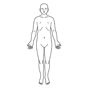 シャチハタ 医療用人体図 全身（正面）